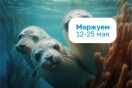 -50% на все входные билеты!